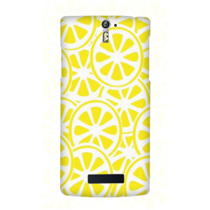lemon slice Casing HP