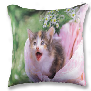 Bantal Bantal Sofa Kitten
