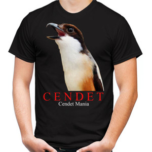 Kaos Burung Cendet/Pentet