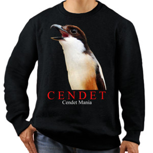 Jaket Sweater Burung Cendet/Pentet