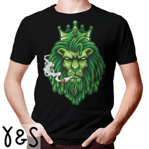 Kaos LION