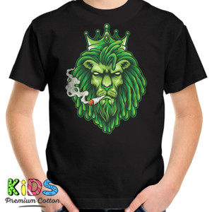 Kaos LION