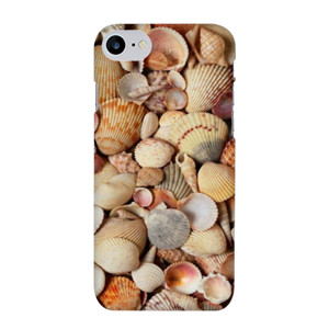 Casing Unik-Kerang Laut Casing HP