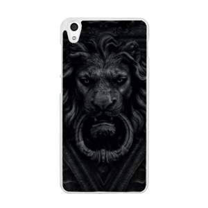 Lion head Casing HP