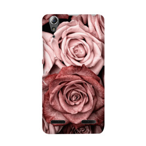 Rose Casing HP