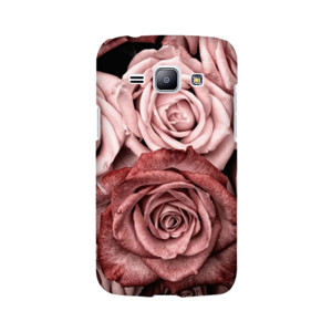 Rose Casing HP