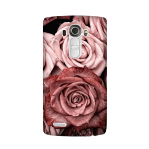 Rose Casing HP