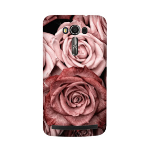 Rose Casing HP
