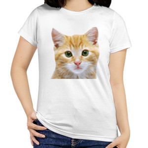 Kaos Kucing Lucu