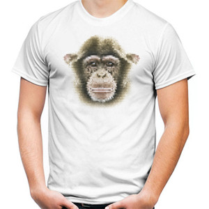 Kaos Monkey Art
