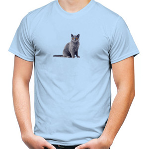 Kaos Kucing limited