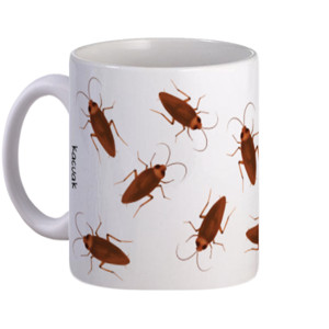 Mug Prank Present Mug KACUAK
