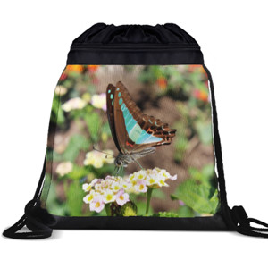 Tas Serut Blue-Brown Butterfly