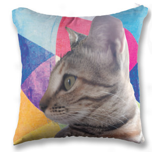 Bantal Kucing Tabby Abu-abu