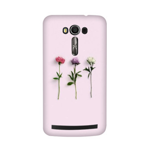 3 Rose Flower Casing HP