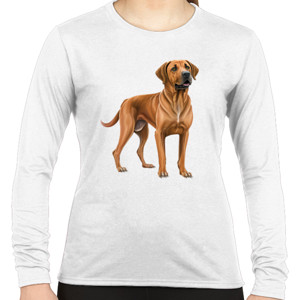 Kaos Kaos Gambar Anjing 410