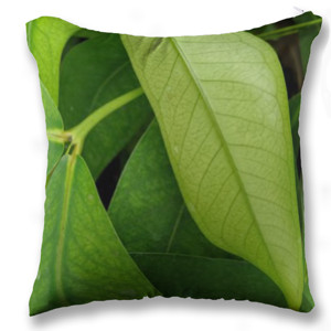 Bantal Tanaman Daun Hijau