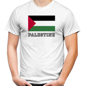 Kaos palestine