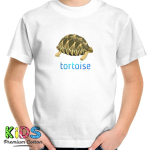 Kaos kura darat