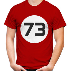 Kaos Big Bang Theory 73