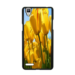 casing hape Casing HP