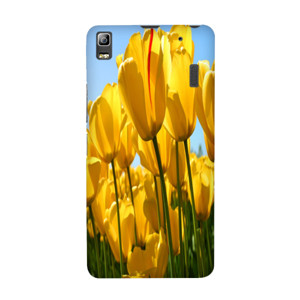 casing hape Casing HP