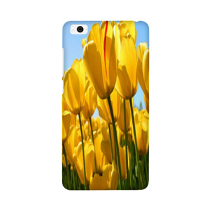 casing hape Casing HP