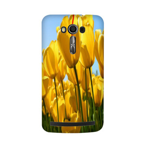 casing hape Casing HP