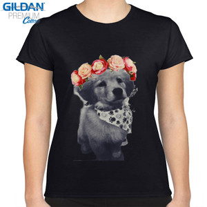 Kaos Kaos Golden Begging
