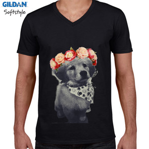Kaos Kaos Golden Begging