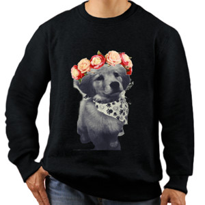 Jaket Sweater Kaos Golden Begging