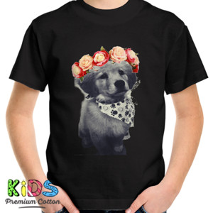 Kaos Kaos Golden Begging