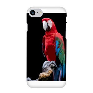 Parrot Casing HP