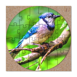 Puzzle Burung