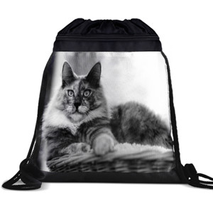 Tas Serut Cats