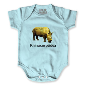 Baby Jumper Rhinocerptidea