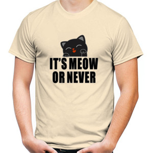 Kaos Its Meow Or Never