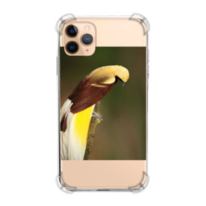 Casing HP Lesser Bird of Paradise