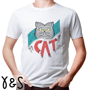 Kaos the cat
