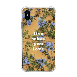 LWYL Casing HP