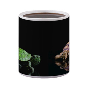 Mug Bunglon Kura-Kura