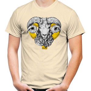 Kaos Aries zodiakku