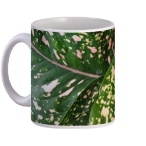 Mug Tanaman Hijau Merah Muda