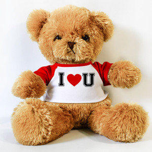 Boneka Beruang I love you