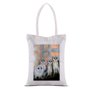 Tas Tote Baby Owls