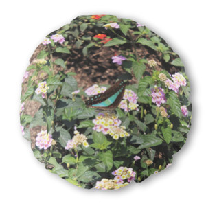Bantal Bulat Butterfly and Flowers