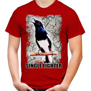 Kaos Burung Kacer