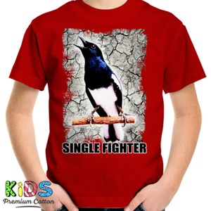 Kaos Burung Kacer