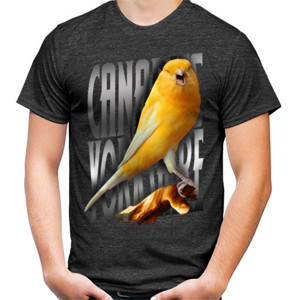 Kaos Burung Kenari