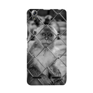 CASING SMARTPHONE , IOS, ANDROID, ANIMAL Casing HP